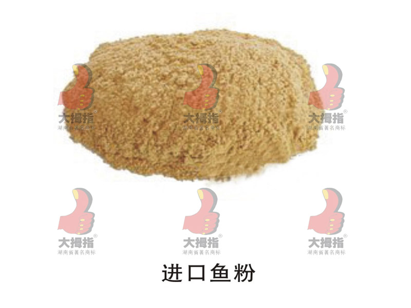進(jìn)口魚粉,母豬產(chǎn)床,大拇指母豬產(chǎn)床,大拇指養(yǎng)豬設(shè)備,采食槽,長沙養(yǎng)豬設(shè)備,豬人工授精,長沙養(yǎng)豬設(shè)備公司,湖南豬人工授精,湖南豬場(chǎng)設(shè)備,湖南大拇指畜牧機(jī)械制造有限公司,長沙大拇指養(yǎng)豬設(shè)備廠,湖南長沙養(yǎng)豬場(chǎng)器械